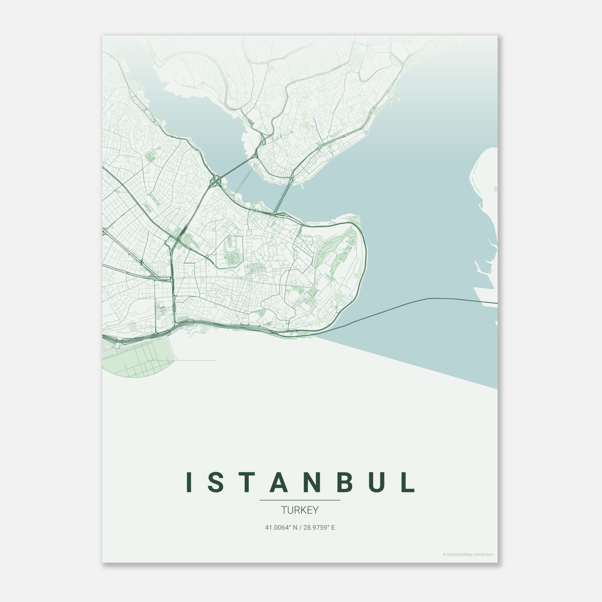 Istanbul vector map poster in Thicket colourway, Turkey