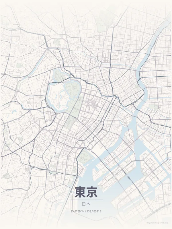 Tokyo map poster in Faded colourway